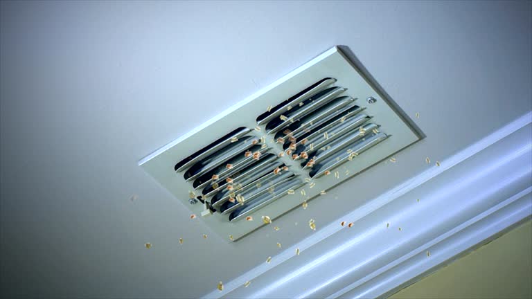 Best Affordable HVAC Duct Cleaning  in Lake Fenton, MI