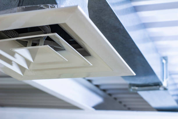 Best HVAC Air Duct Cleaning  in Lake Fenton, MI