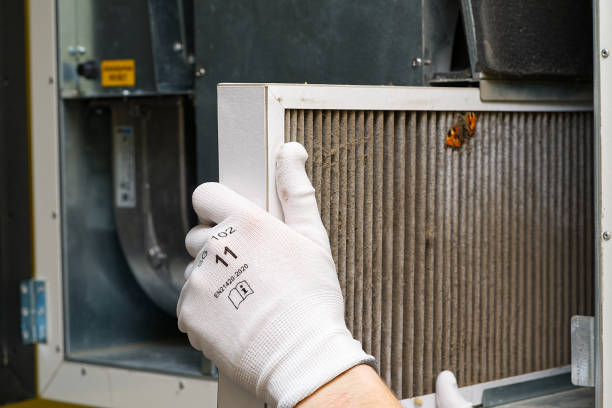 Best Residential Air Duct Cleaning  in Lake Fenton, MI